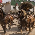 Pullman City III- Hasselfelde/Ostharz