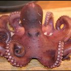 Pulpo 2