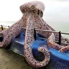 Pulpo