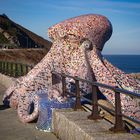  Pulpo a la gallega. Paseo Marítimo de La Coruña.