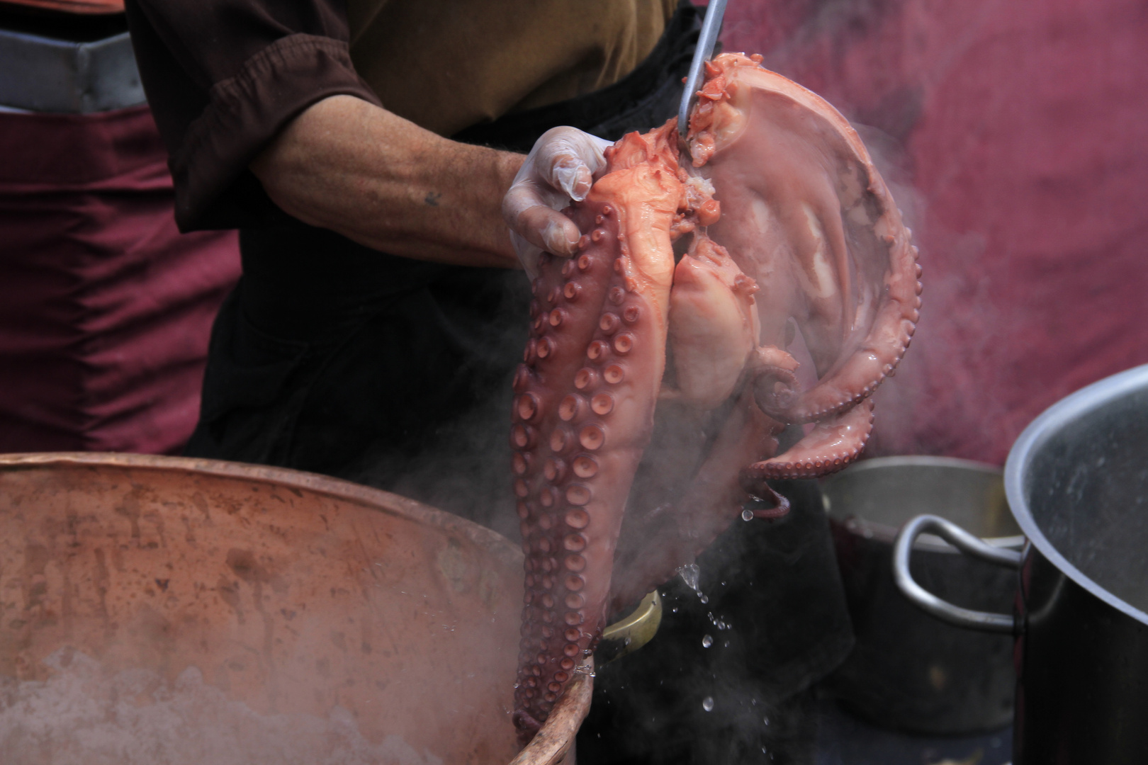 Pulpo