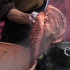 Pulpo