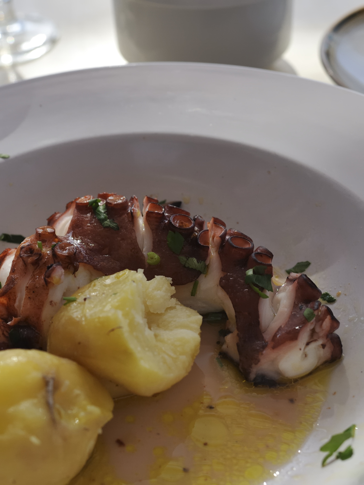 Pulpo galizisch