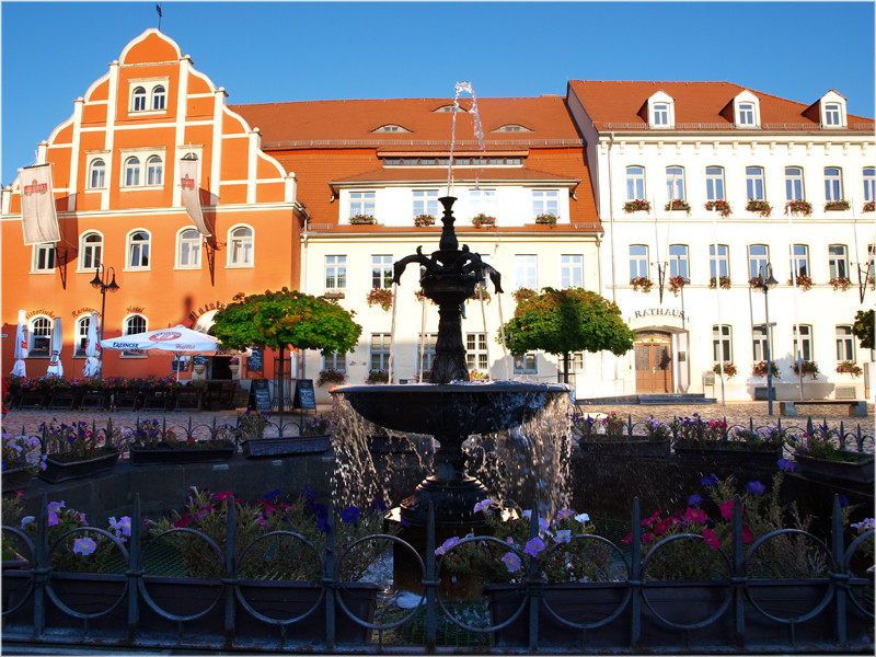 Pulsnitz - Der Brunnen auf dem Markt