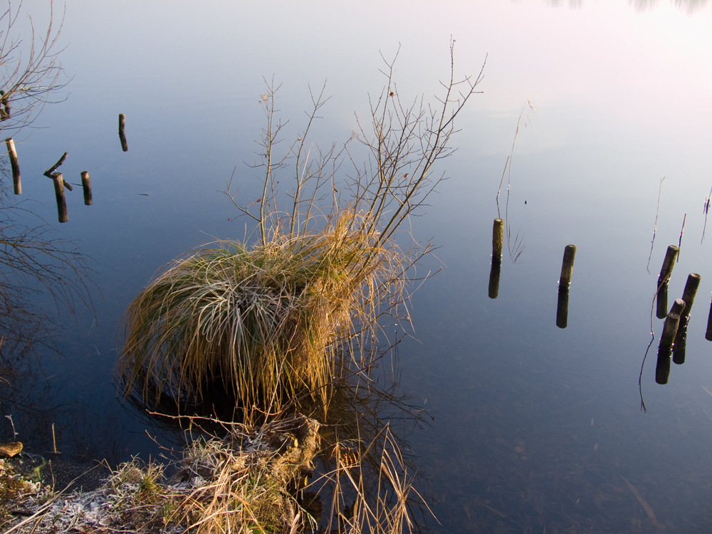 Pulvermühlensee bei Hamburg II