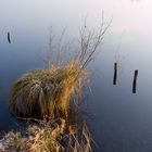 Pulvermühlensee bei Hamburg II