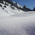 Pulverschnee