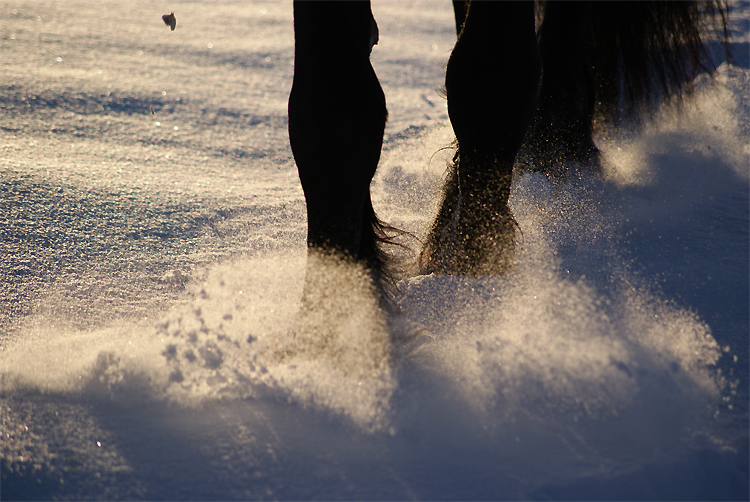 Pulverschnee