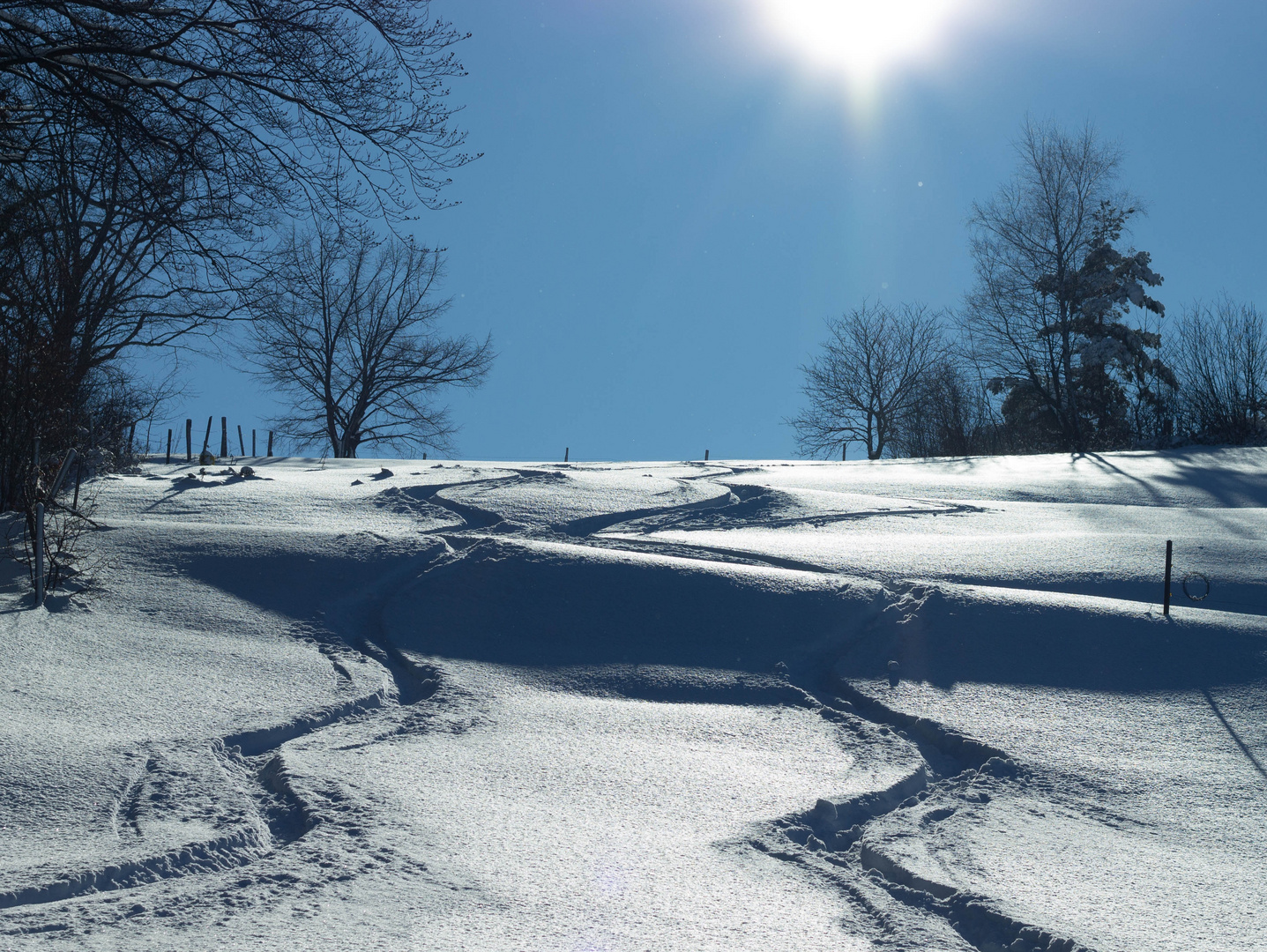 Pulverschnee am Kalten Feld