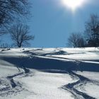 Pulverschnee am Kalten Feld