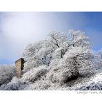 Pulverschnee am Pulverturm