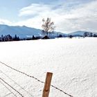 PULVERSCHNEE