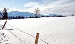 PULVERSCHNEE