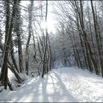 Pulverschnee und Sonnenschein