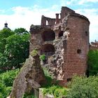 Pulverturm - Schloss Heidelberg