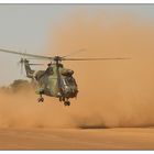 Puma bei Start in Birao Airfield