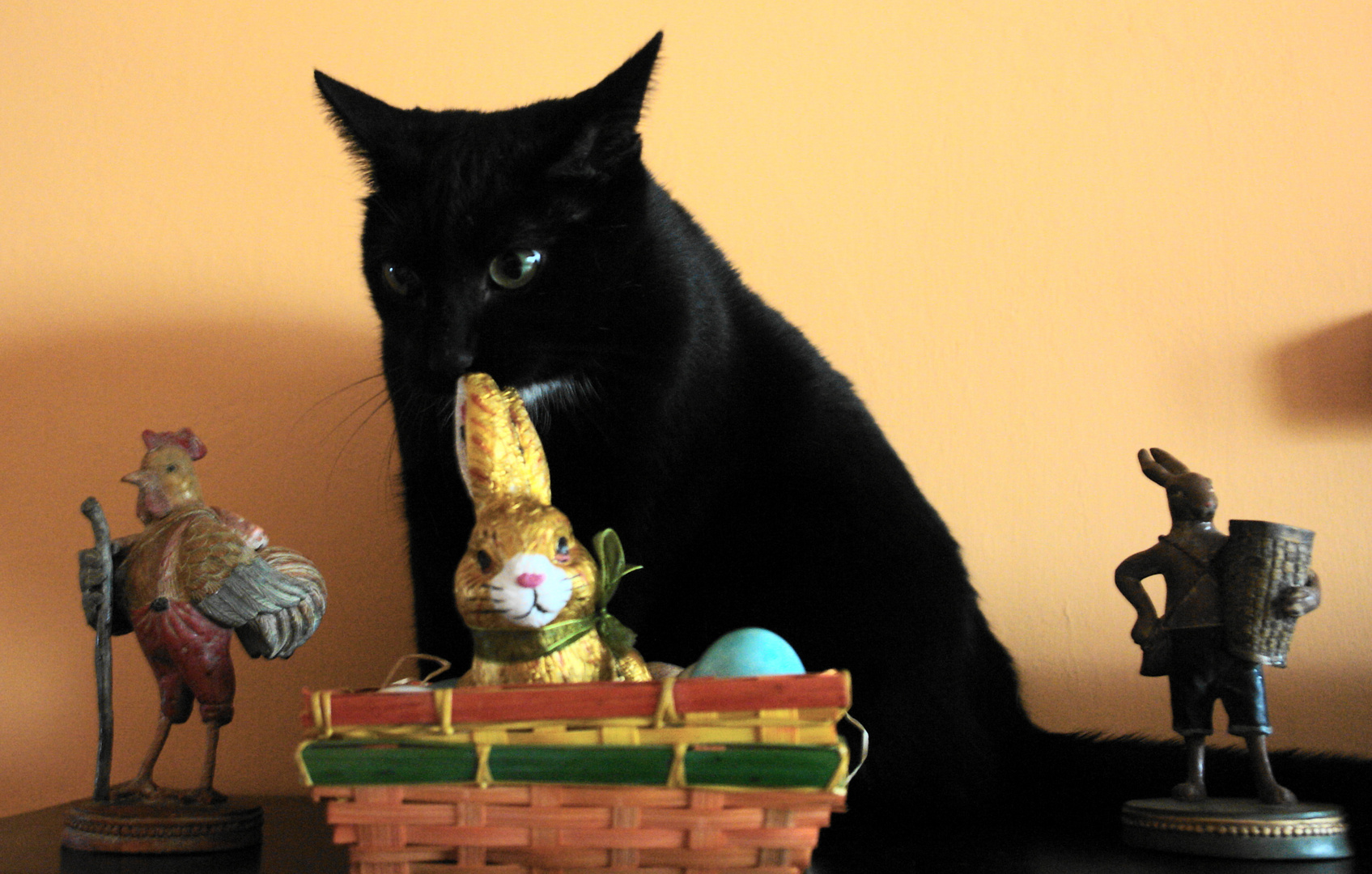 Puma versteht das getue mit Ostern nicht.