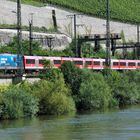 Puma  Wagen  in  ganzer  SCHÖNHEiT