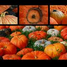 Pumkins potpourri