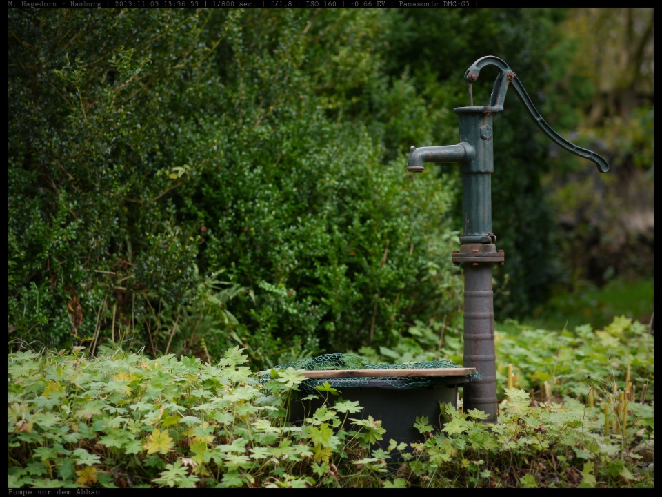 Pumpengrün (Testbild - Vergleich mit Pentax 50er)