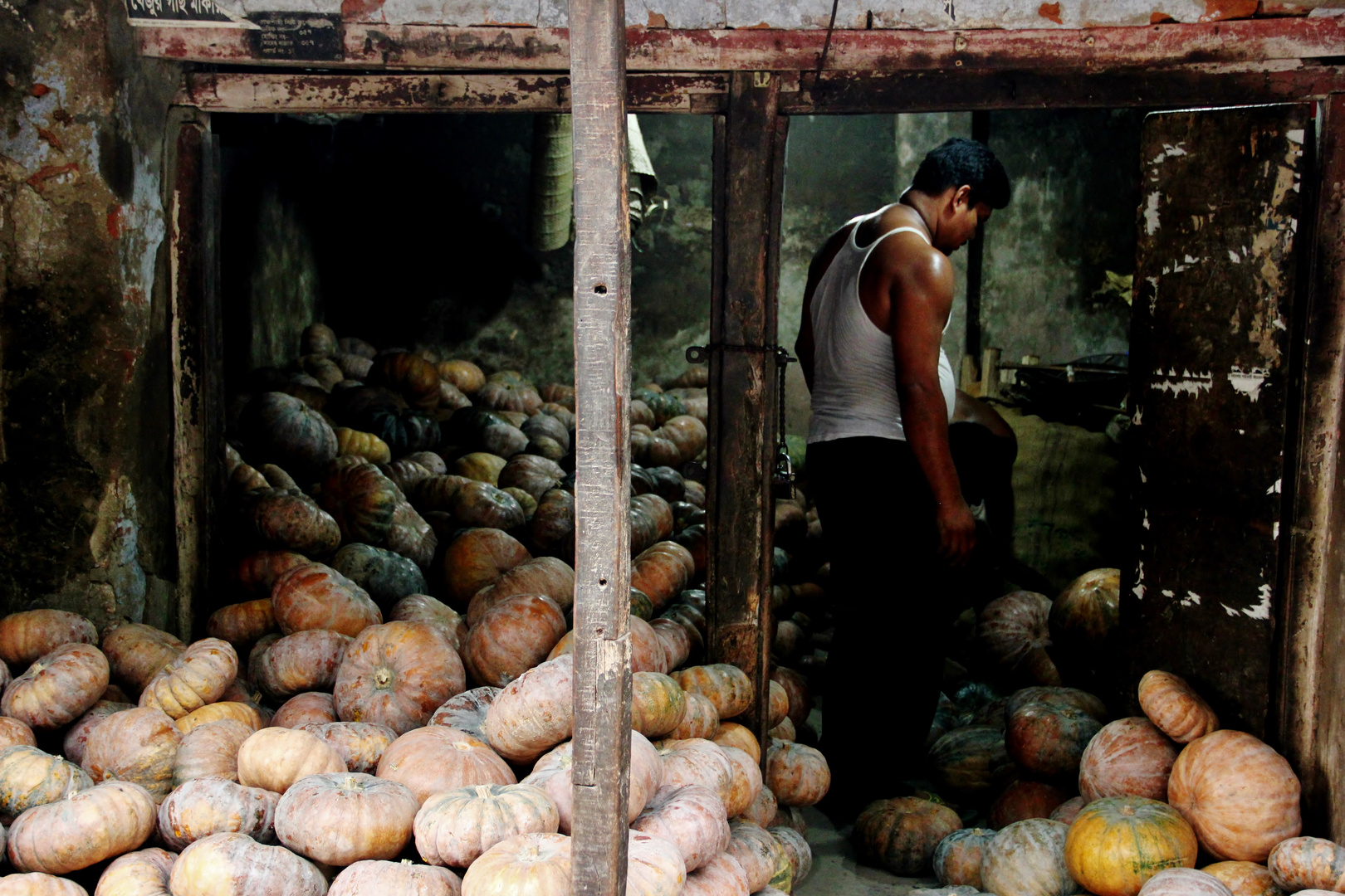 Pumpkin Dealer - Bangladesh (2014)