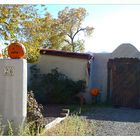 Pumpkin-heads zu Halloween