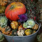 Pumpkin Still - Pumpkin Festival Berlin