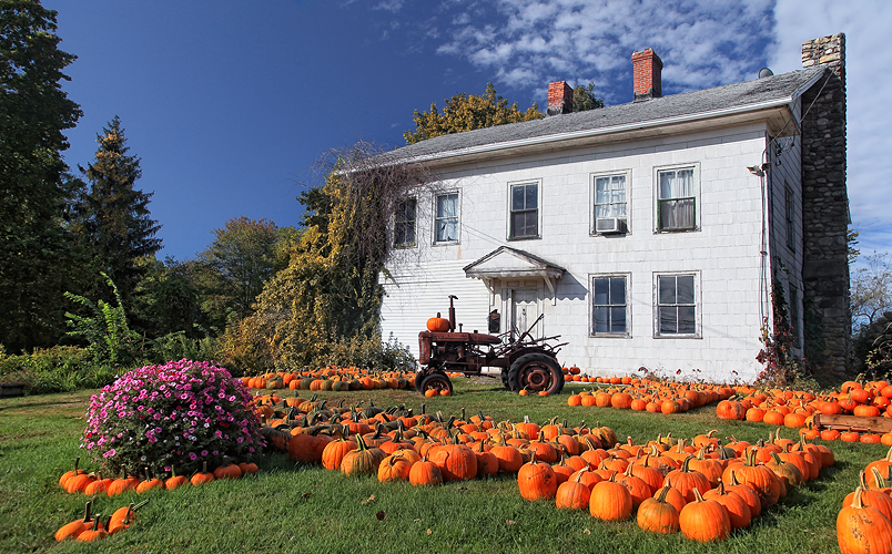 Pumpkin Time