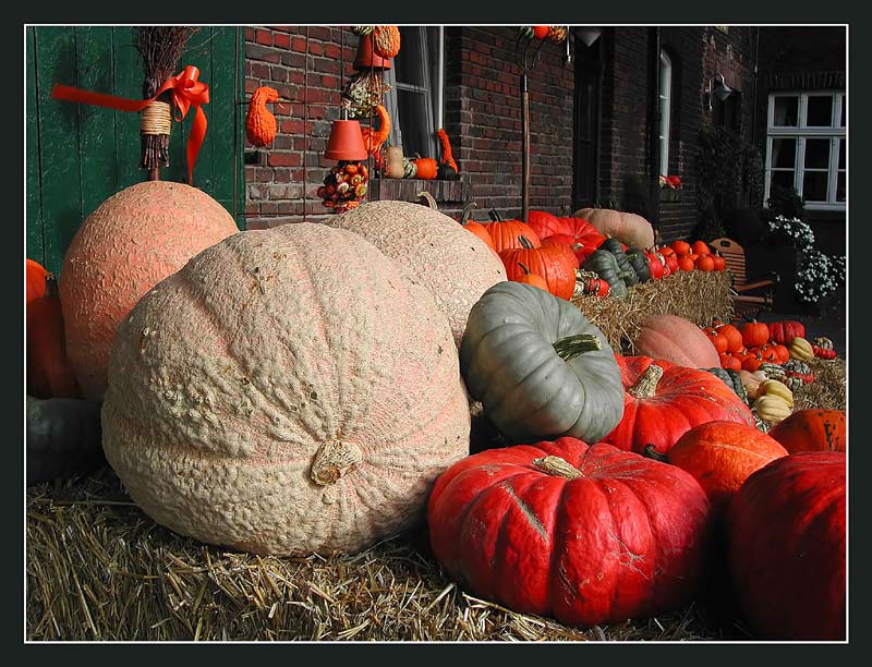 Pumpkins