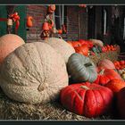 Pumpkins