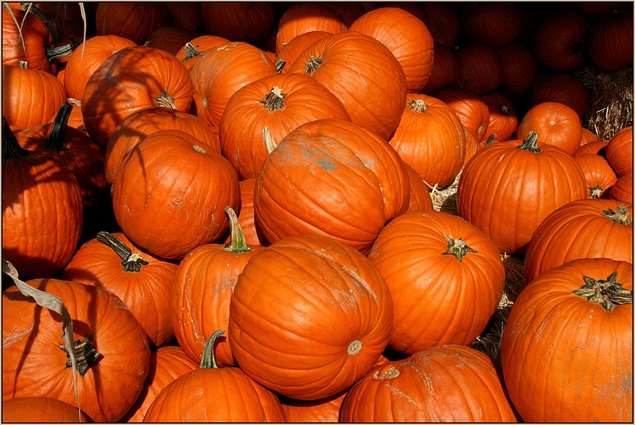 Pumpkins