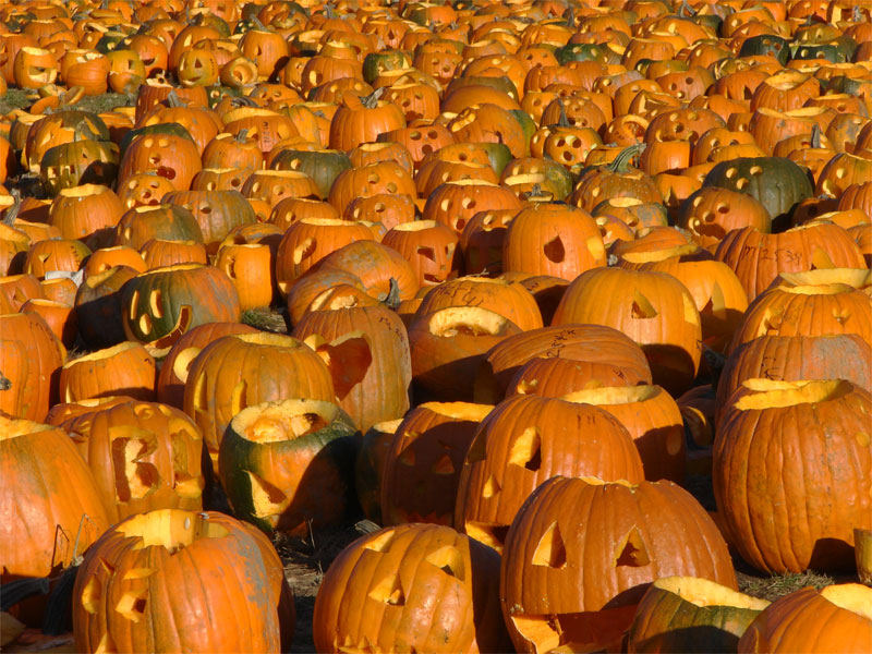 Pumpkins