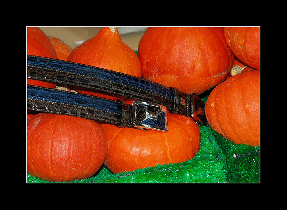 Pumpkins.. and a Very Expensive Belt