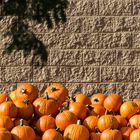 Pumpkins in Nashville