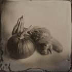 Pumpkins on Wet Plate