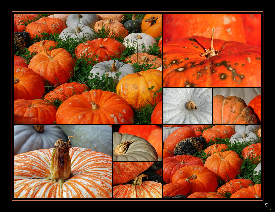 Pumpkins potpourri