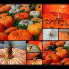 Pumpkins potpourri