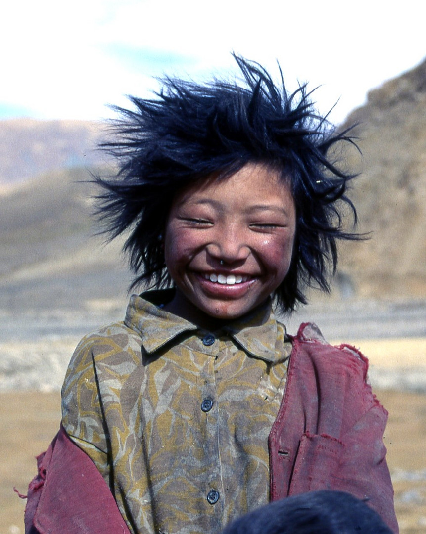 Pumukel aus Tibet