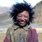 Pumukel aus Tibet