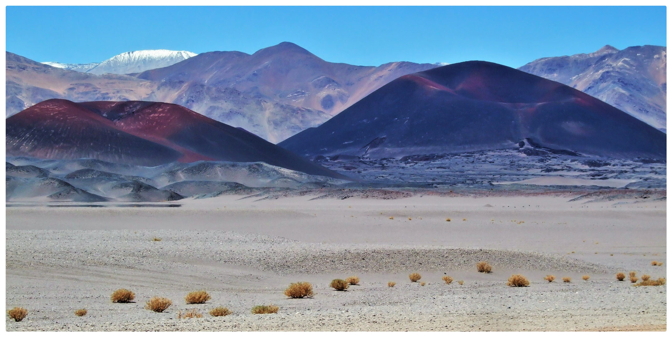 Puna de Atacama