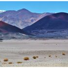 Puna de Atacama