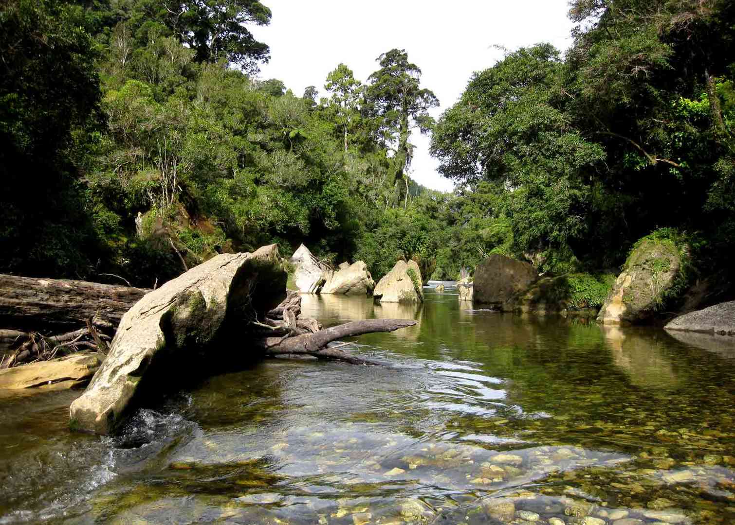 Punakaiki river