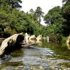 Punakaiki river