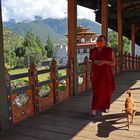 Punakha Dzong,Punakha,Bhutan