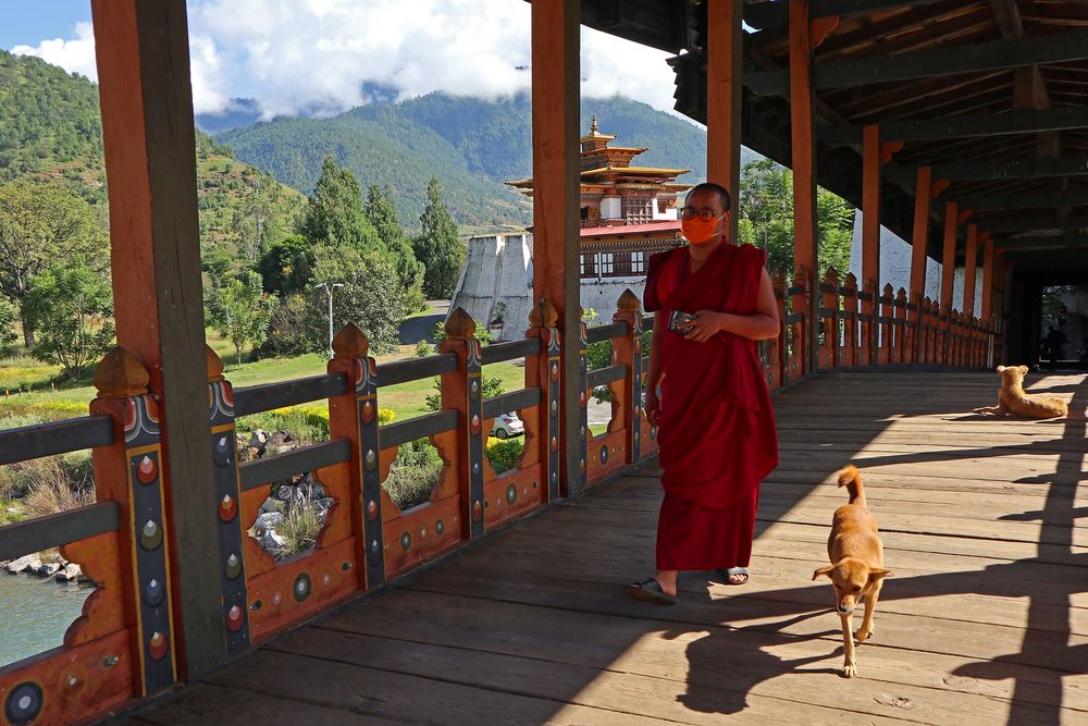 Punakha Dzong,Punakha,Bhutan