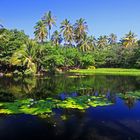 Punalu`u Lagune, Big Island, Hawaii