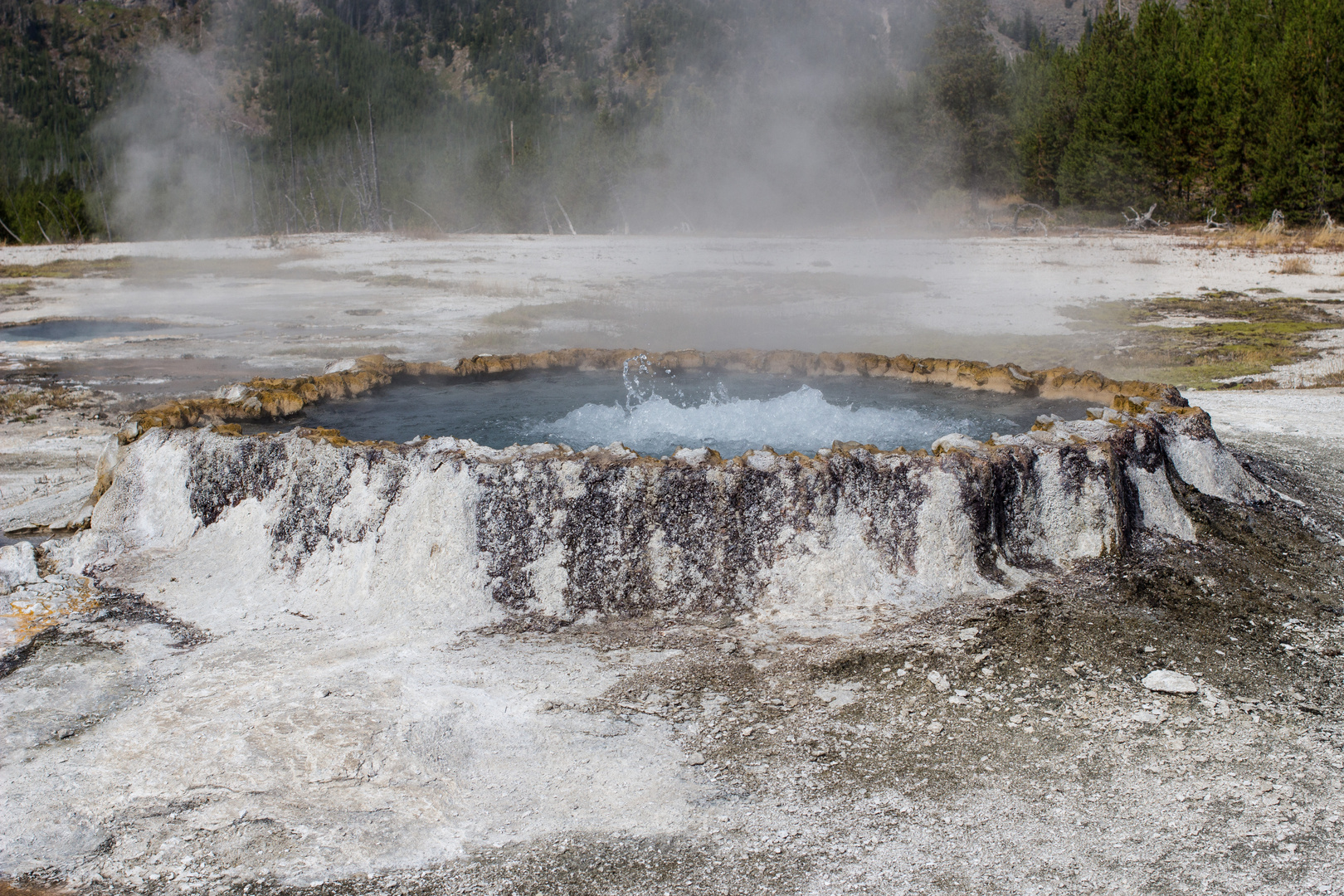 Punch Bowl Spring