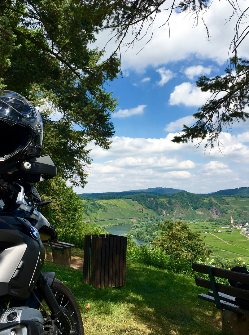 Pu?nderich im Moseltal - Juli 2016