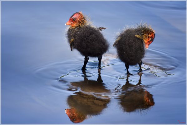 Punker am Baldeneysee