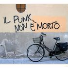 . . . Punks not dead . . .